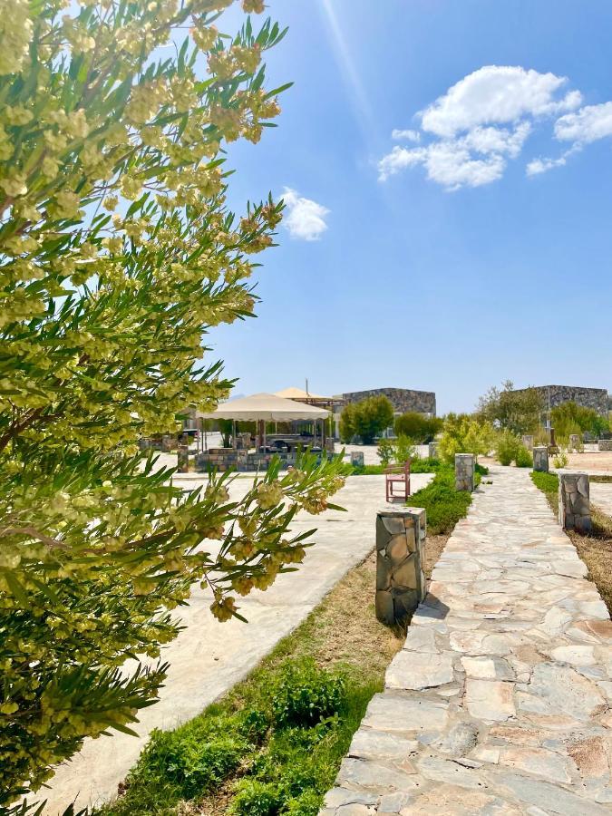 Jebel Shams Resort منتجع جبل شمس Dar Sawda Exteriör bild