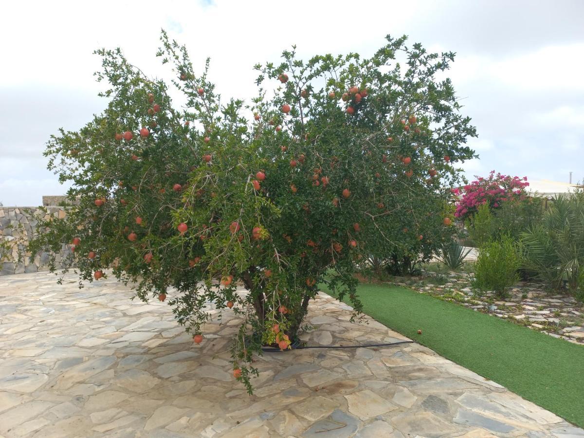 Jebel Shams Resort منتجع جبل شمس Dar Sawda Exteriör bild
